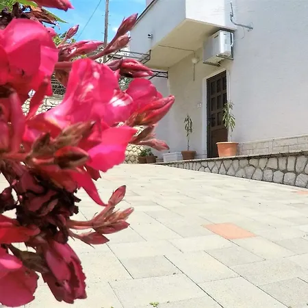 Apartment Mit Terrasse - B55823